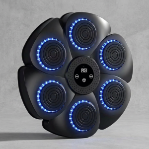 CALMENER ™ - Music Boxing Machine (Amateur)